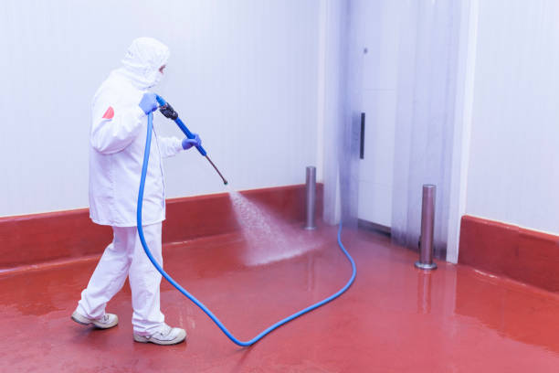 Best Parking Lot and Garage Cleaning  in Soh Willard, UT
